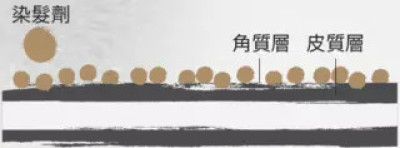 短暂性染发剂完全不会打开角质层,染料只会停留在头发的表层