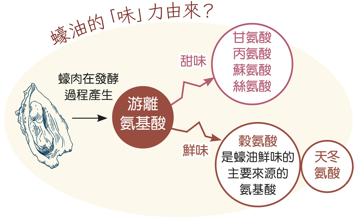 「鮮」味從何而來