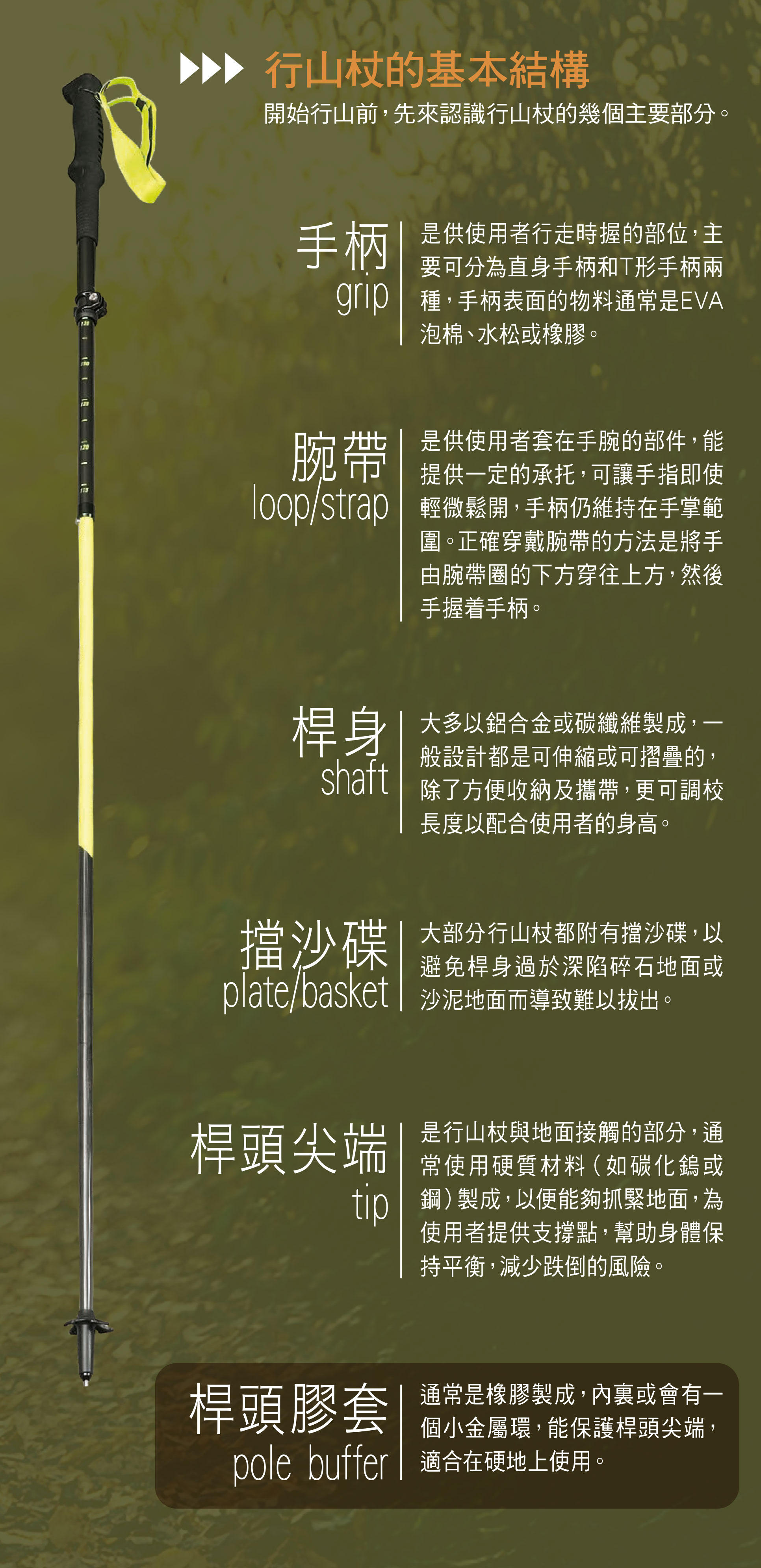 行山杖的基本结构 