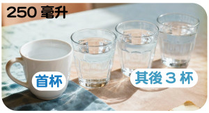 使用樣本連續製作數杯約250毫升的熱水