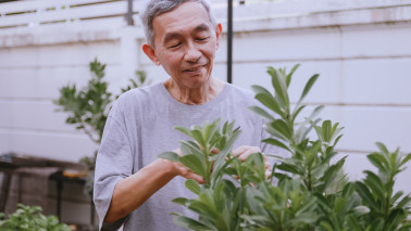 面瘫的中医防治